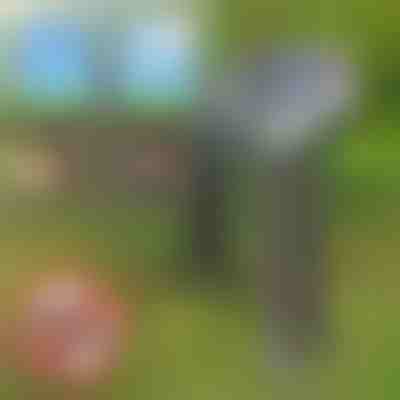 Solarni repelent proti škodljivcem | SOLGUARD