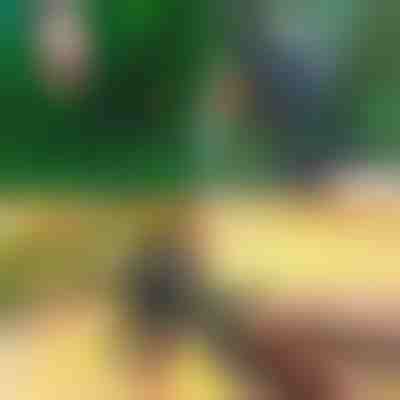 Profesionalne 2-v-1 škarje za obrezovanje in cepljenje | MASTERCUT